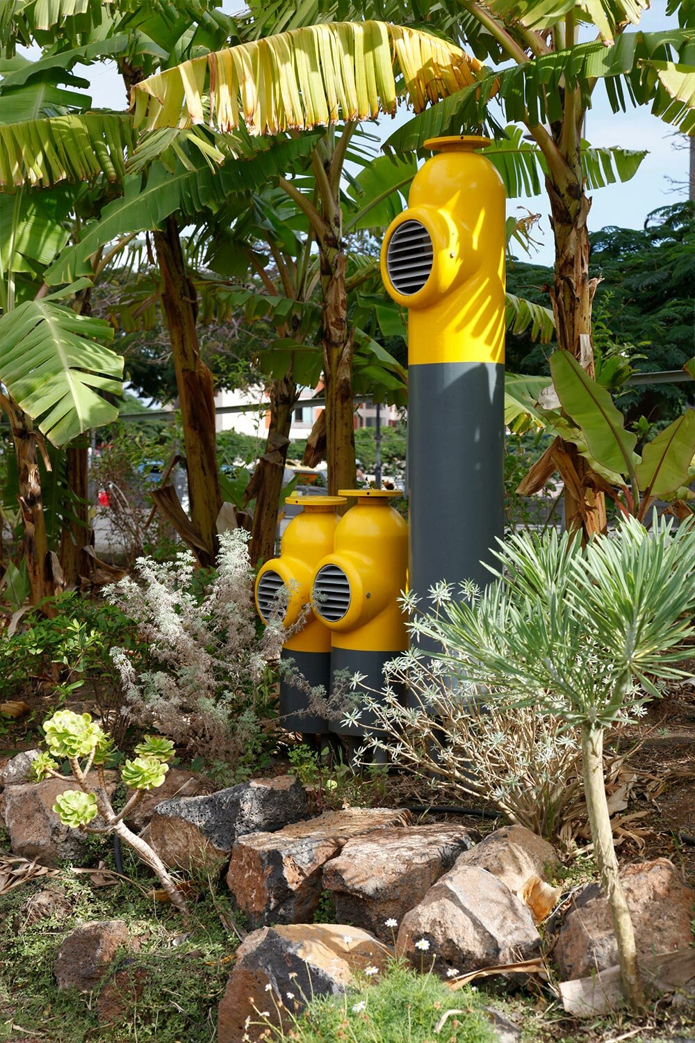 new banana garden by menis arquitectos takes over former oil tank in the canary islands