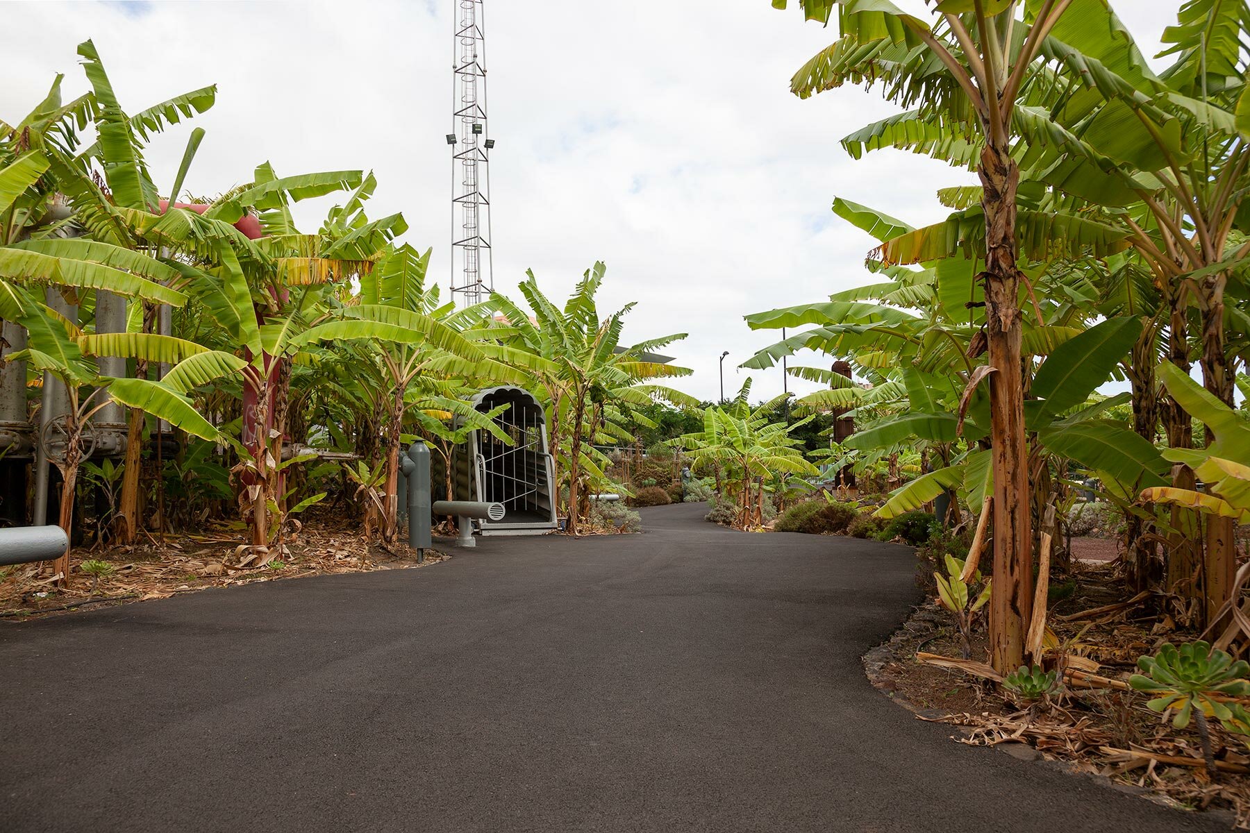 banana-garden-el-tanque-cultural-space-fernando-menis-designboom-41800