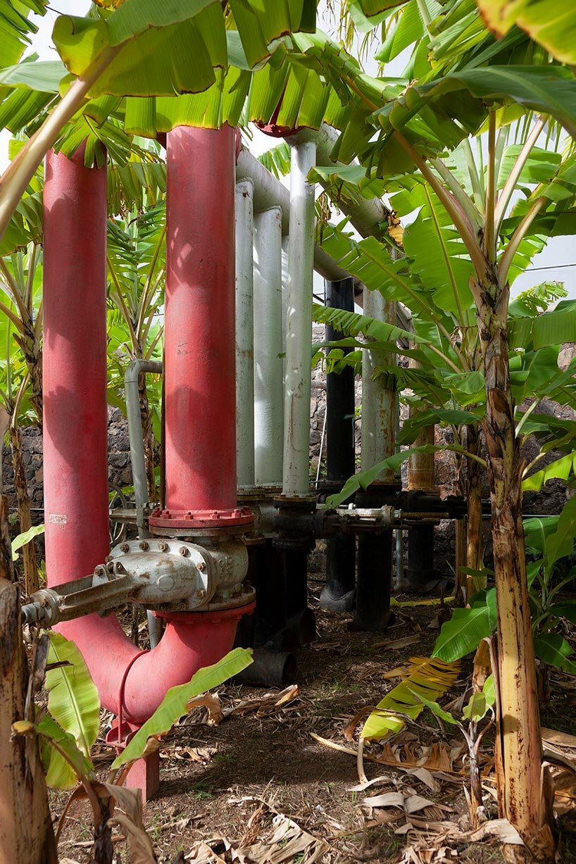 new banana garden by menis arquitectos takes over former oil tank in the canary islands