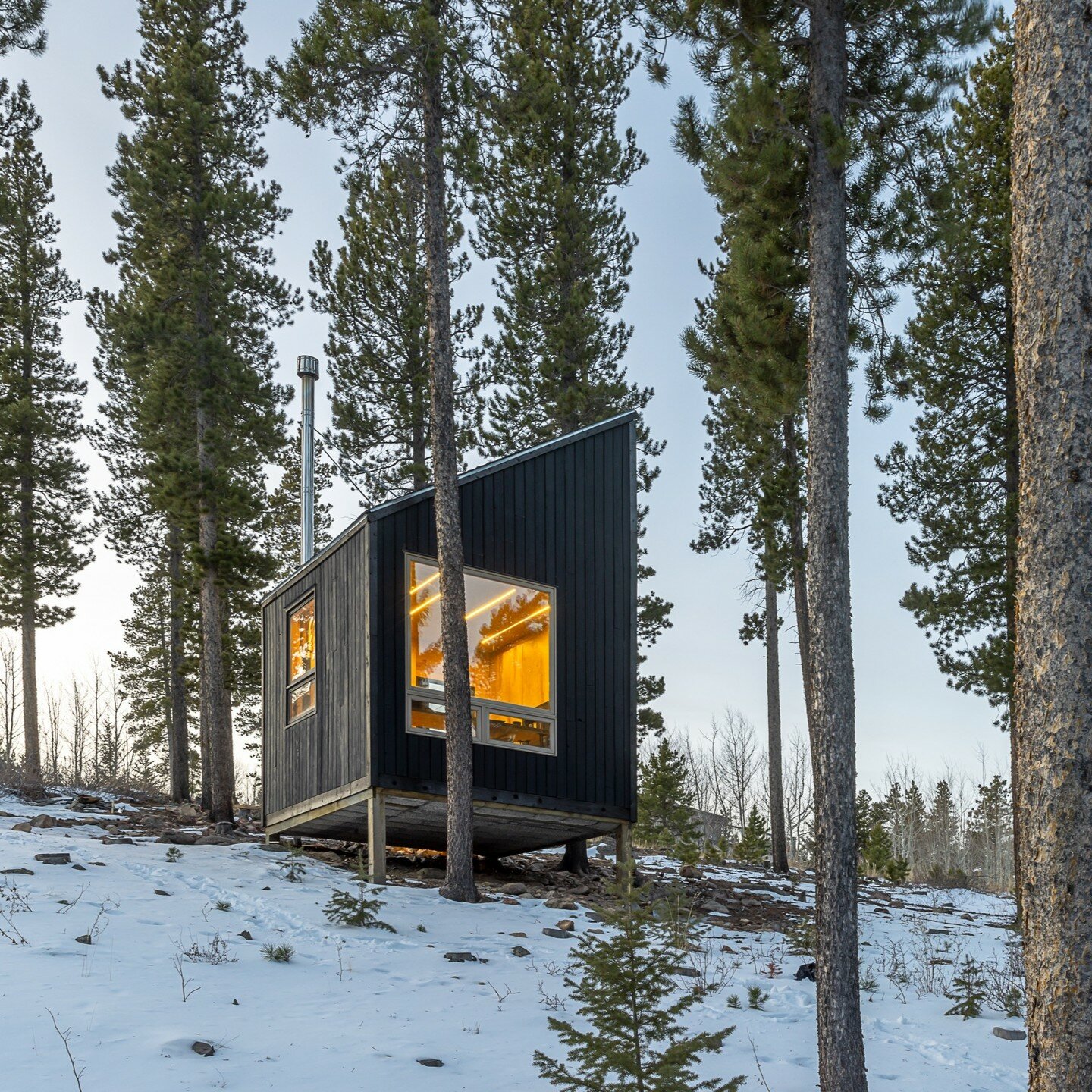 michael quirk reuses local wood to complete tiny carbon-negative cabin in colorado's forest