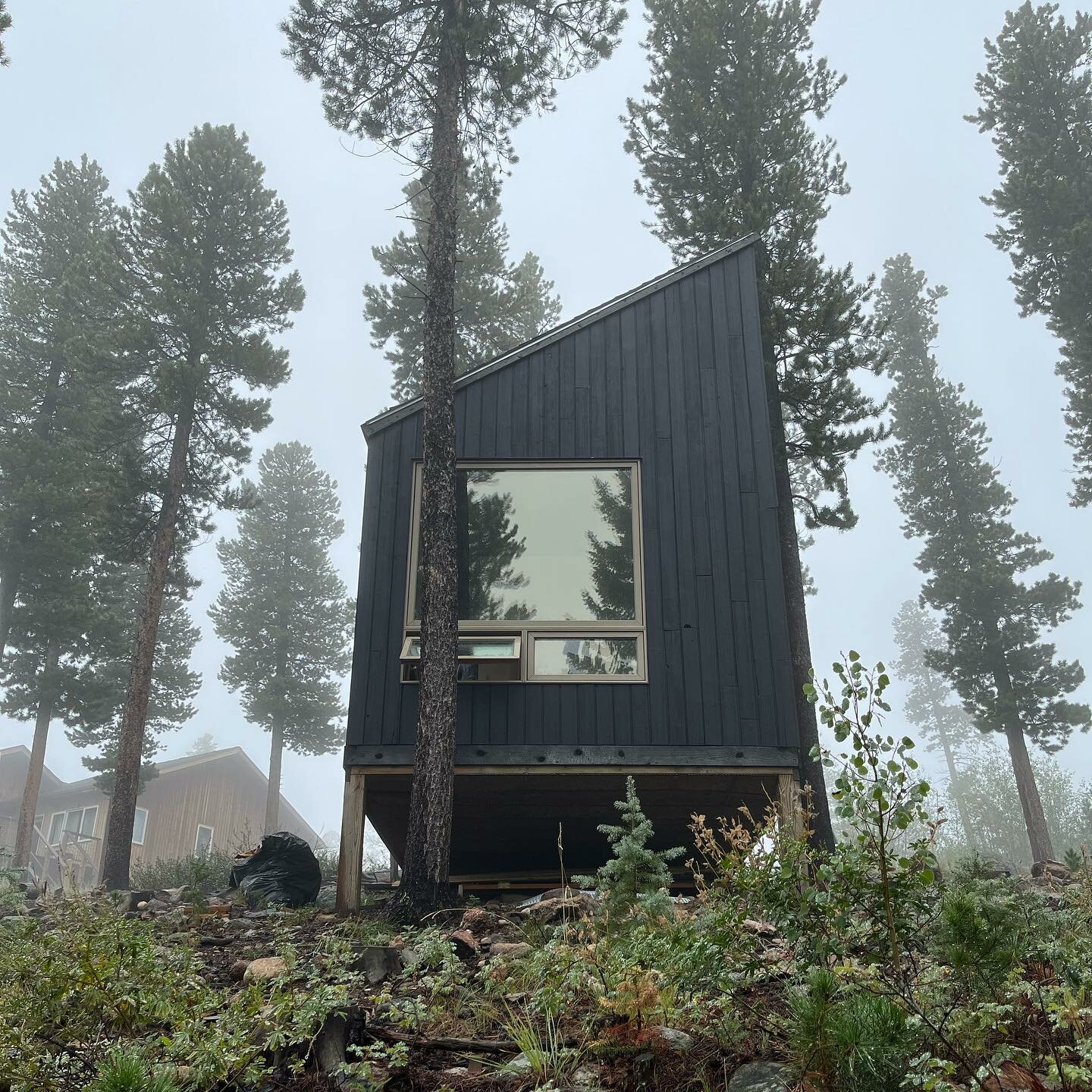 michael quirk reuses local wood to complete tiny carbon-negative cabin in colorado's forest