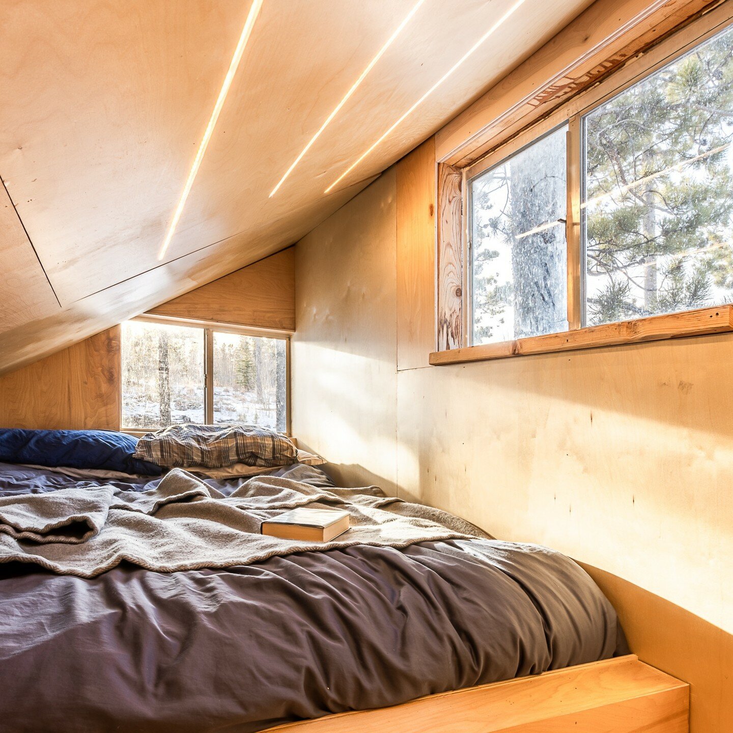 michael quirk reuses local wood to complete tiny carbon-negative cabin in colorado's forest