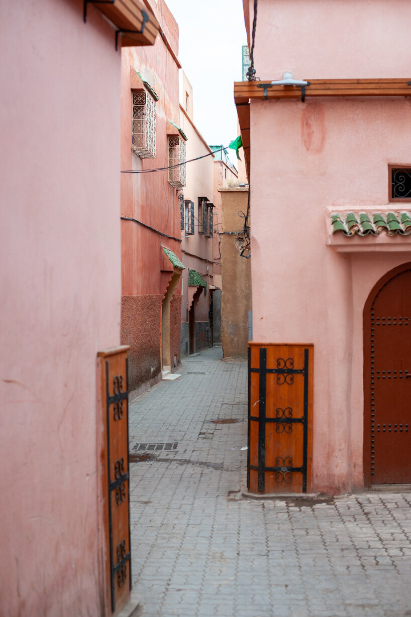 morocco rose photo series