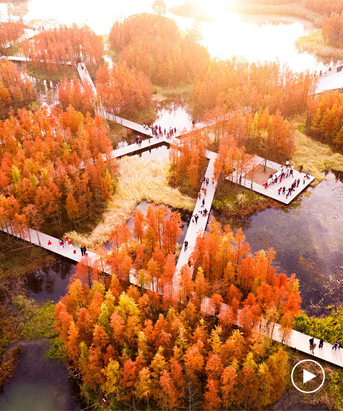 turenscape transforms dumping ground into flood-adapted, floating park in china