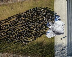 JR protests against the iranian regime with volunteers depicting a collaborative portrait in NY