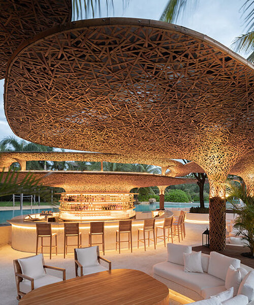 bamboo tree canopies cluster over resort beach club amid china's coconut groves