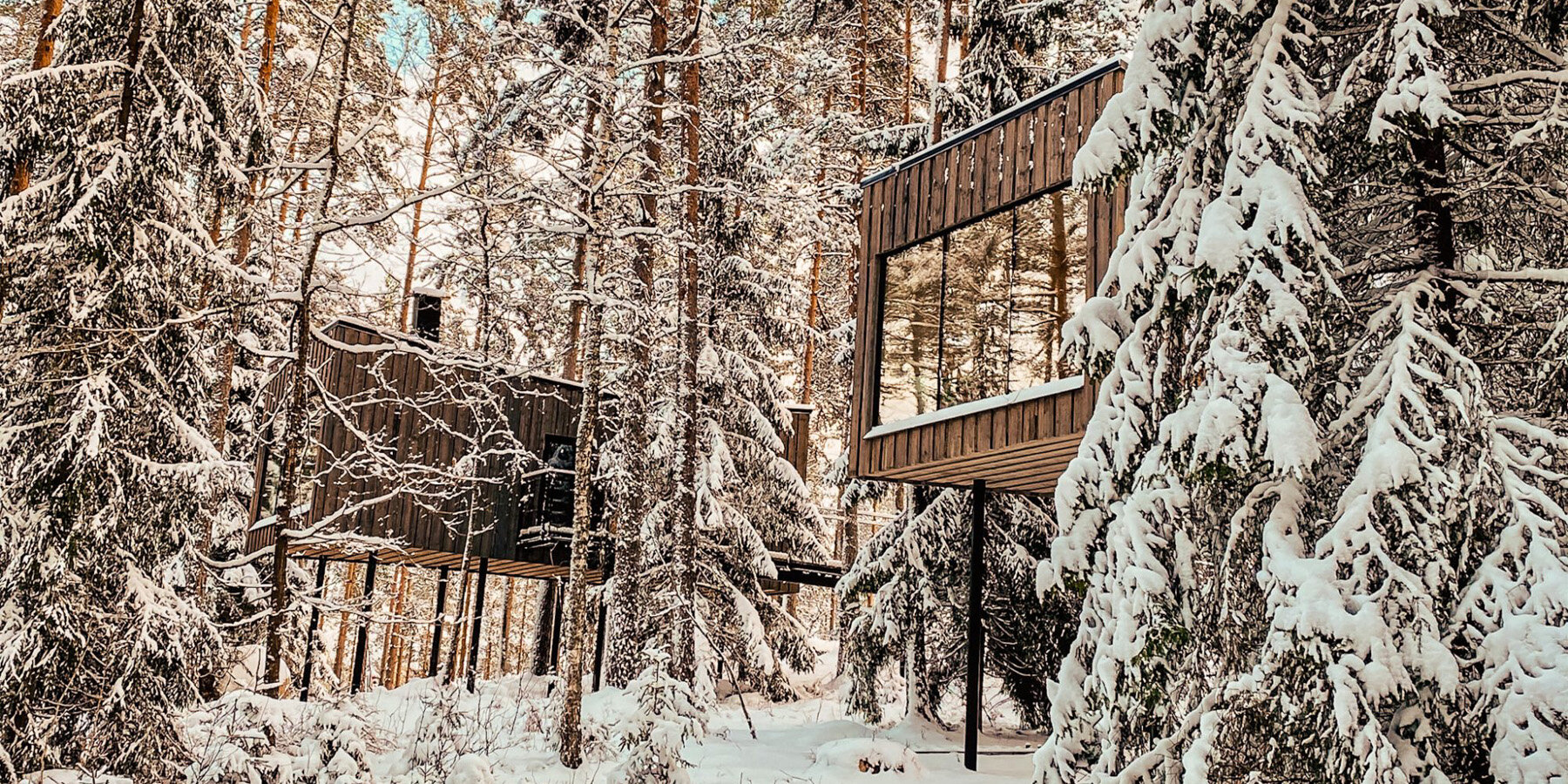 the trakt forest hotel hovers amid treetops in swedish pinewoods