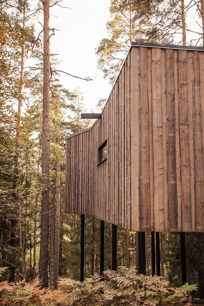 suspended amid treetops, these timber cabins immerse guests in the swedish pinewoods