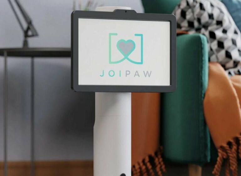 video games for dogs exist, and joipaw believes they can help them