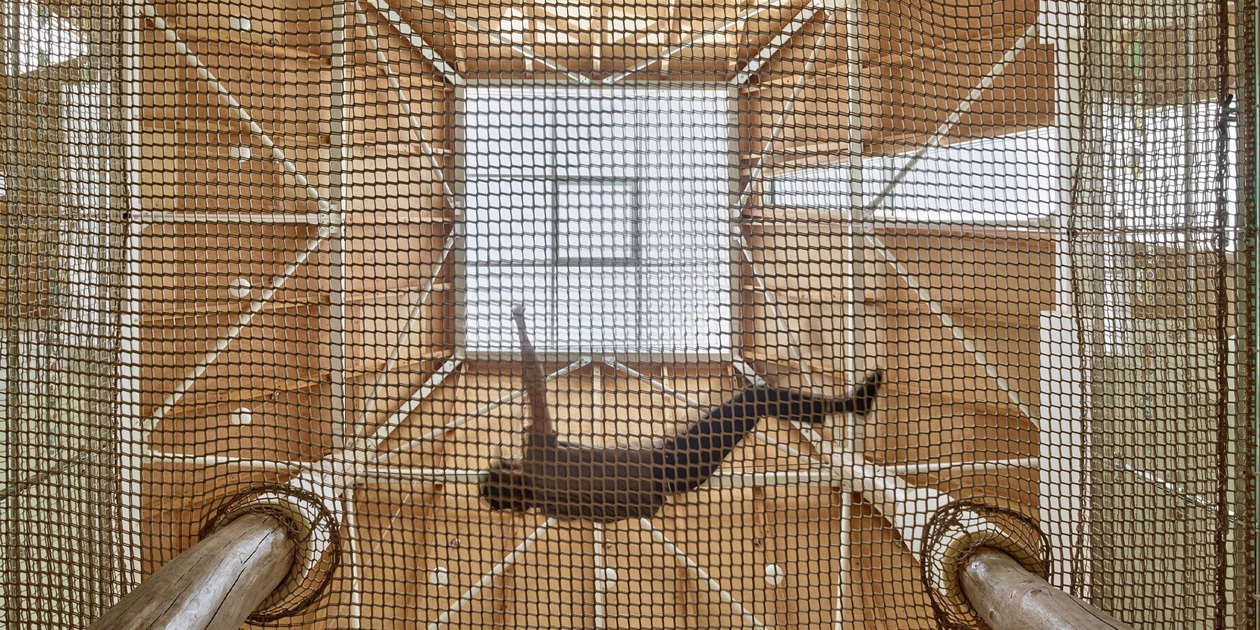 architektura-vetrnik-kindergarten-designboom-full-3