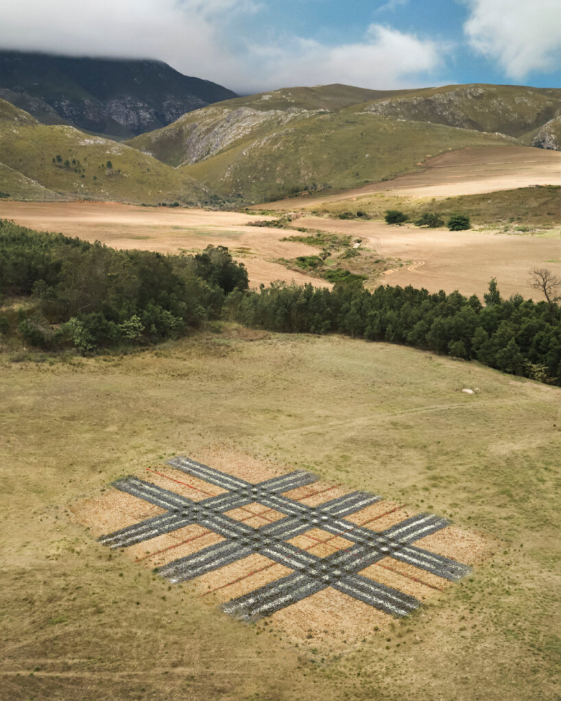 life-size, hand-planted 'burberry checks' dot the lands of canary islands  and south africa