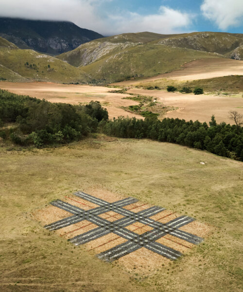 life-size, hand-planted 'burberry checks' dot the lands of canary islands and south africa