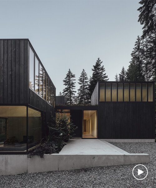 leckie studio's rural retreat in british columbia channels light and vistas like a camera lens