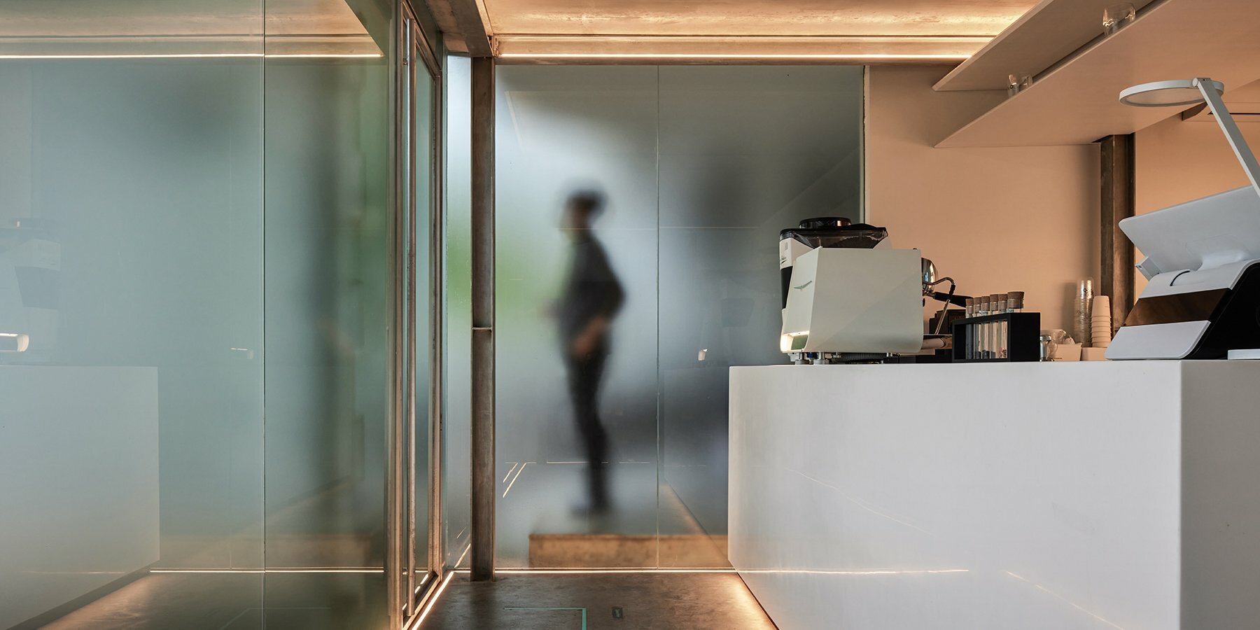 dhania-sal-sawo-rontgen-designboom-4