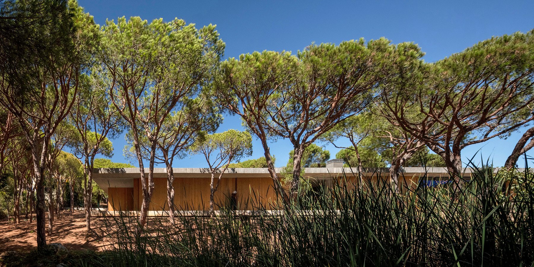 h81-house-in-praia-verde-designboom-1800-1