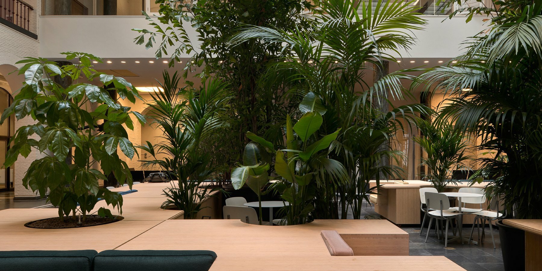 maagdenhuis-bureau-ira-koers-studio-roelof-mulder-designboom-1