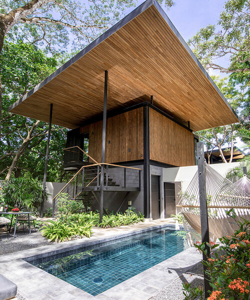 sunlit 'raintree house' by studio saxe is a contemporary oasis in costa rica