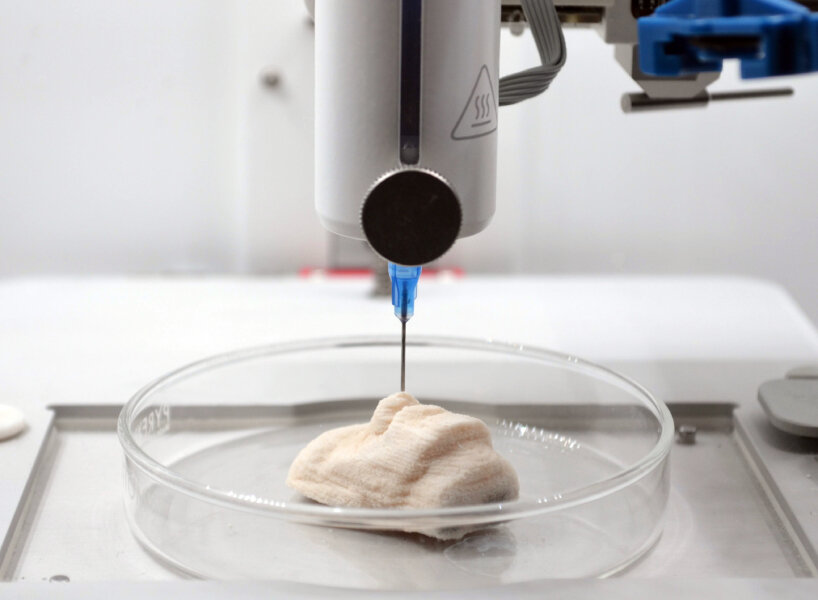bacteria ink 3D printer