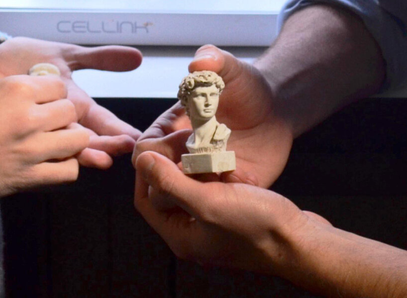 bacteria ink 3D printer