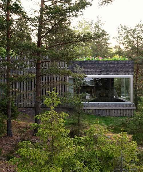 wooden hedge facade enfolds villa on the coastline of stockholm