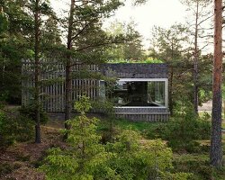 wooden hedge facade enfolds villa on the coastline of stockholm