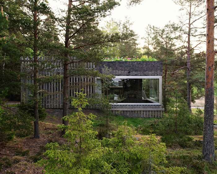 wooden hedge facade enfolds villa on the coastline of stockholm
