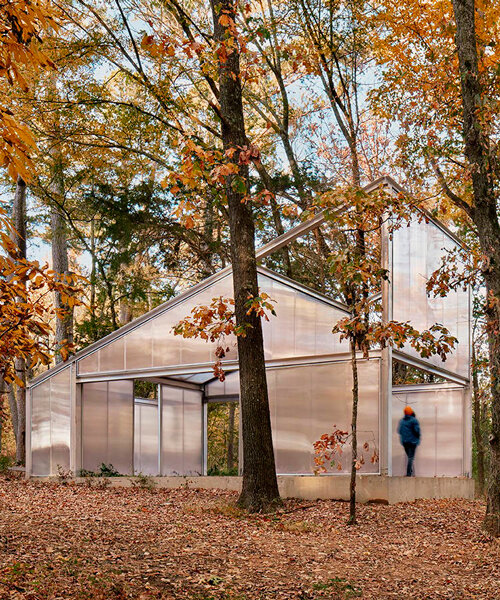 PPAA envisions breathable homes of the future infused with nature's presence