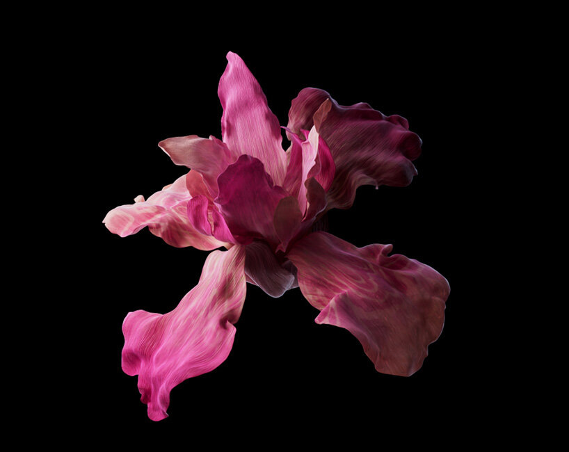 Interview : Mat Collishaw Sur L'Élevage De Fleurs Dans Le Métaverse Et Sa Dynamique Collection Nft