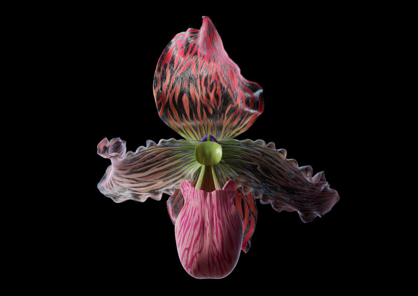 interview: mat collishaw on breeding flowers in the metaverse and his dynamic NFT collection