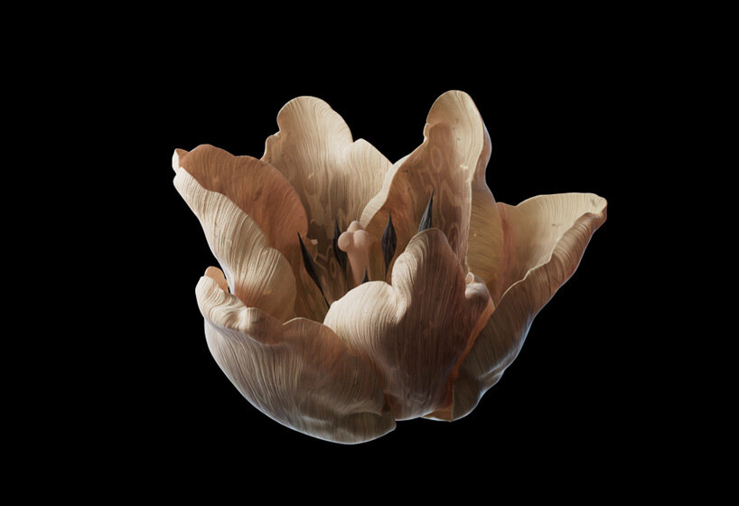 interview: mat collishaw on breeding flowers in the metaverse and his dynamic NFT collection