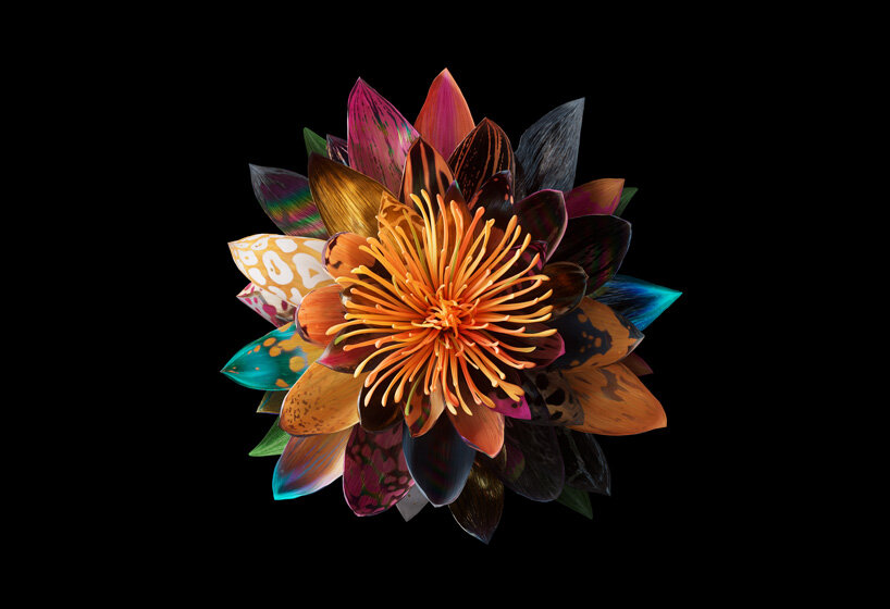 interview: mat collishaw on breeding flowers in the metaverse and his dynamic NFT collection