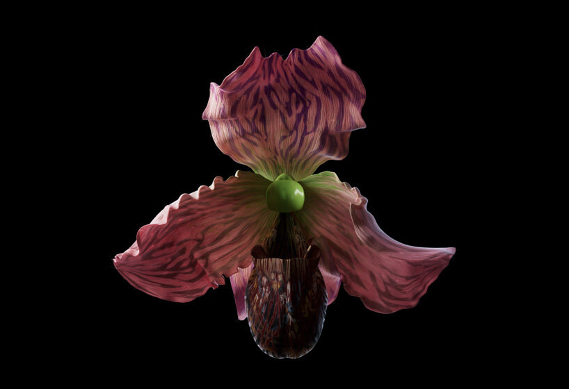 interview: mat collishaw on breeding flowers in the metaverse and his dynamic NFT collection