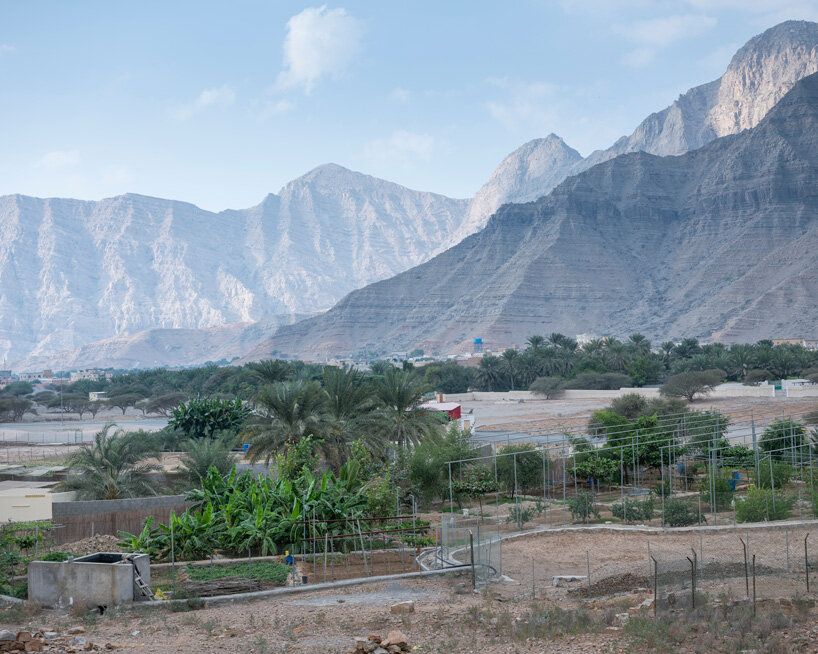 from drought to abundance: interview with faysal tabbarah at the uae pavilion at the venice biennale