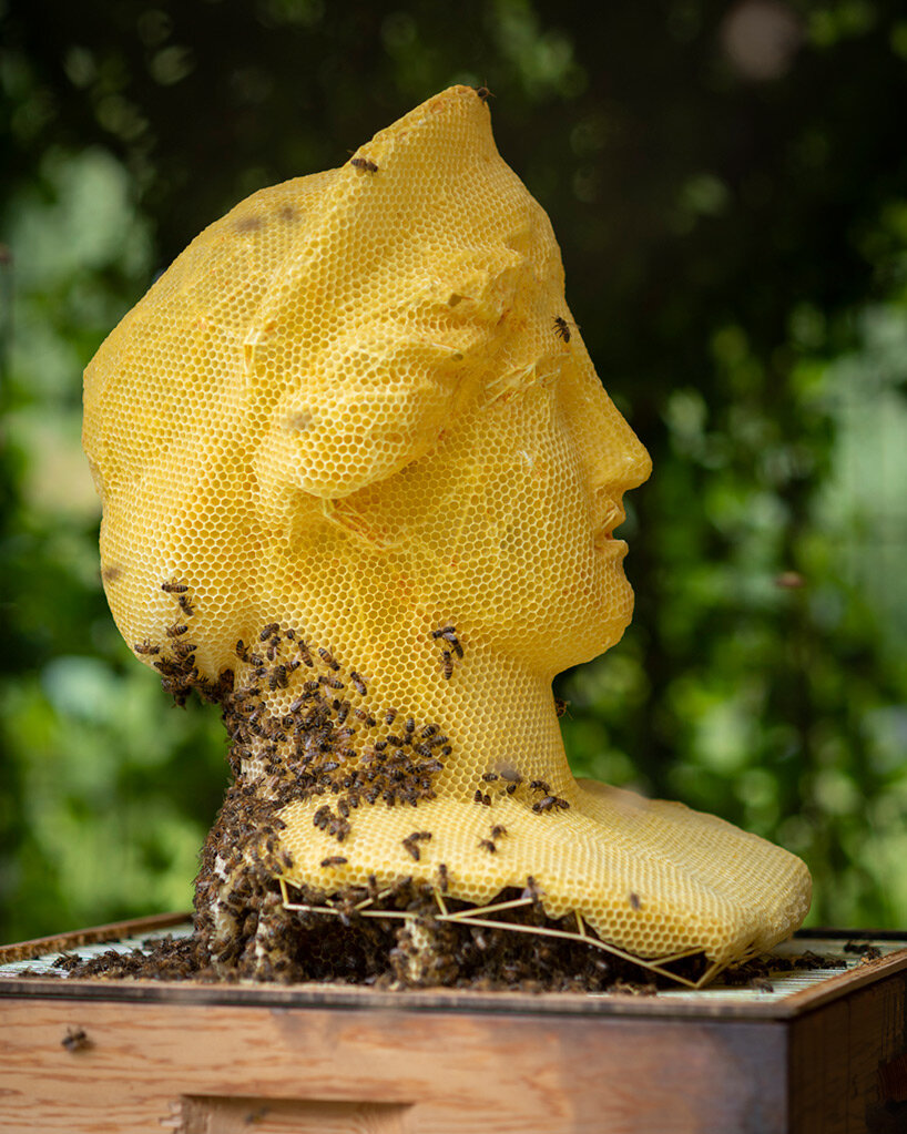tomáš libertíny's beeswax busts translate vulnerability into strength