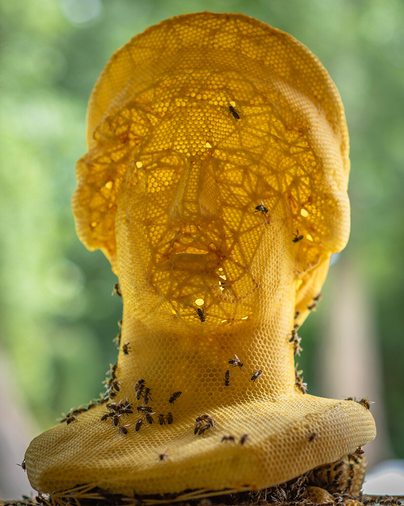 tomáš libertíny's beeswax busts of hera and nefertiti translate vulnerability into strength