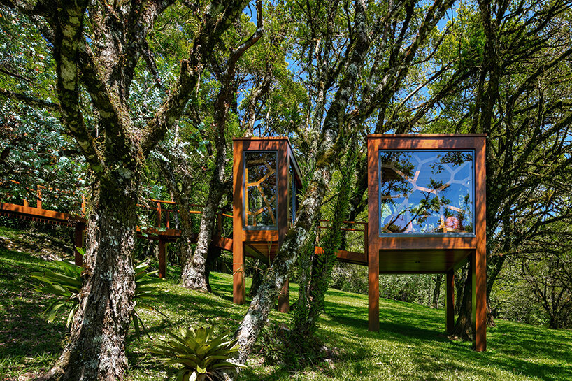 Studio MEMM provides a two-volume treehouse in Brazil with a leaf-inspired sunshade