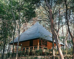 double slope roof tops wiki world's wooden cabin in chinese forest