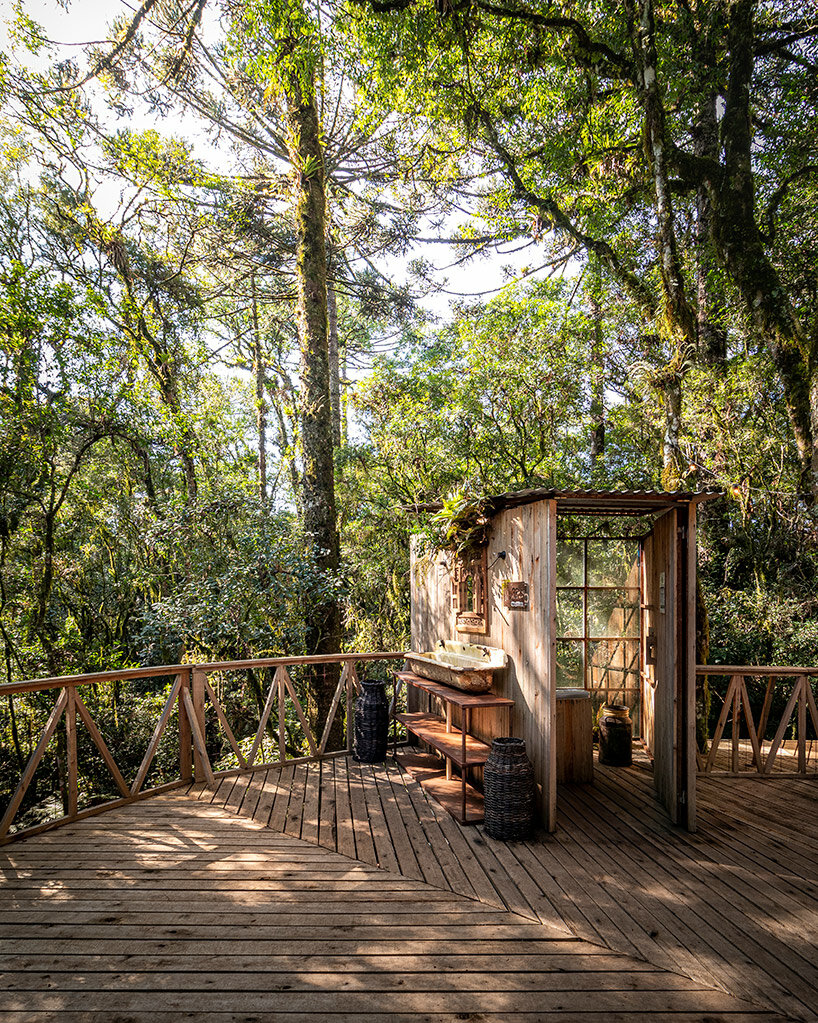 sada dřevěných toaletních kabin vykukuje korunami stromů původního lesa v sao francisco