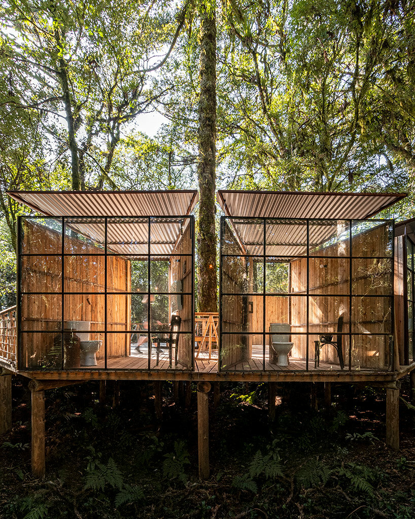 a set of wooden restroom cabins peeks through the treetops of native forest in são francisco