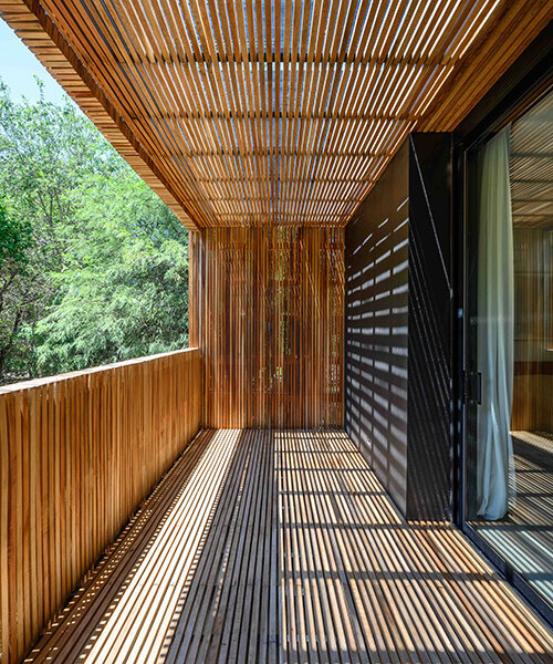 floating in argentina's forests, this 'LS house' is flooded with patterned shadows