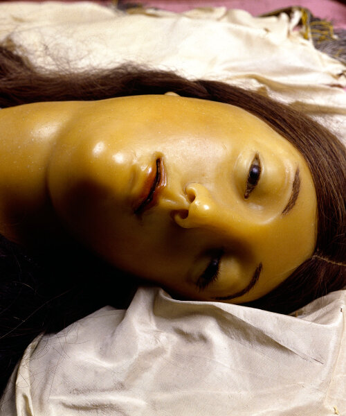 fondazione prada and david cronenberg dissect female wax models for anatomy exhibition