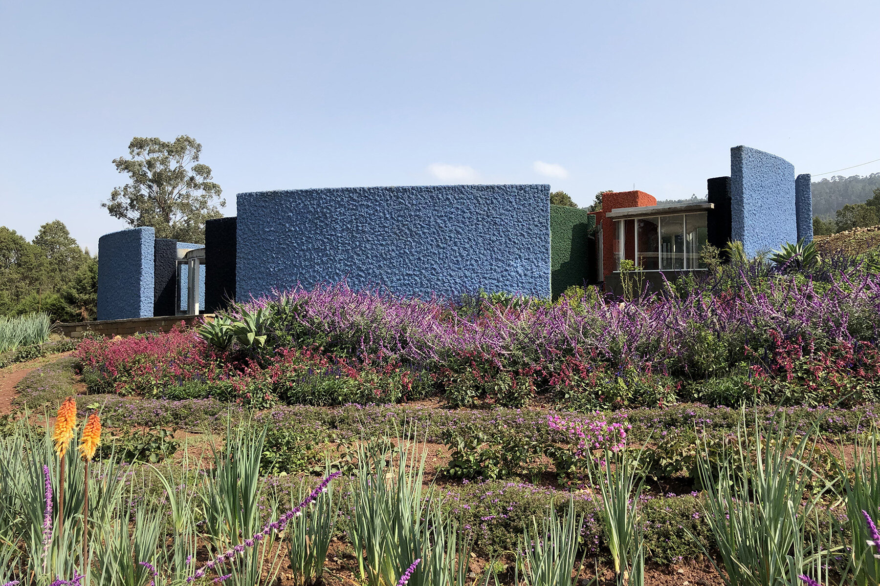 Meles Zenawi Memorial Park