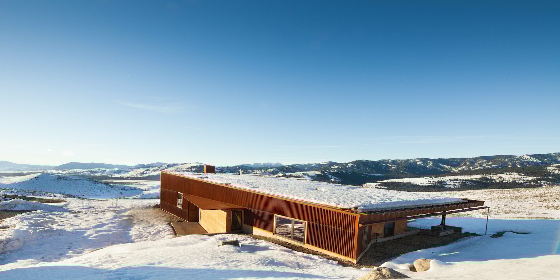 new-caelifera-johnston-architects-designboom-1