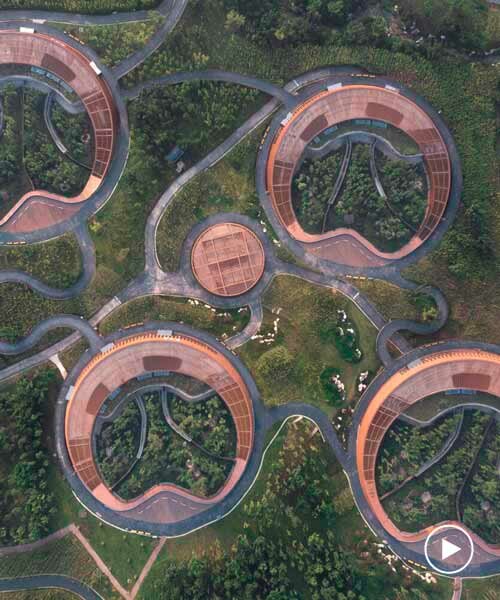 EID architecture's ring-shaped 'panda pavilions' expand chengdu research center