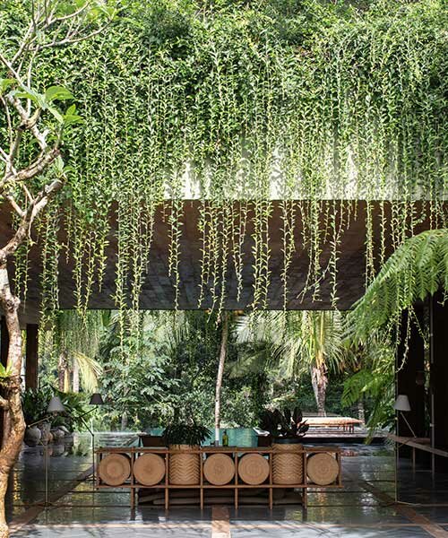 perched amidst a forest in bali, the ravine dwelling blurs the line between indoor & outdoor