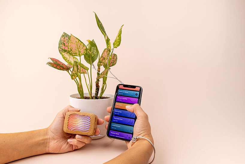 plantwave converts biorhythms into real time music for indoor environments