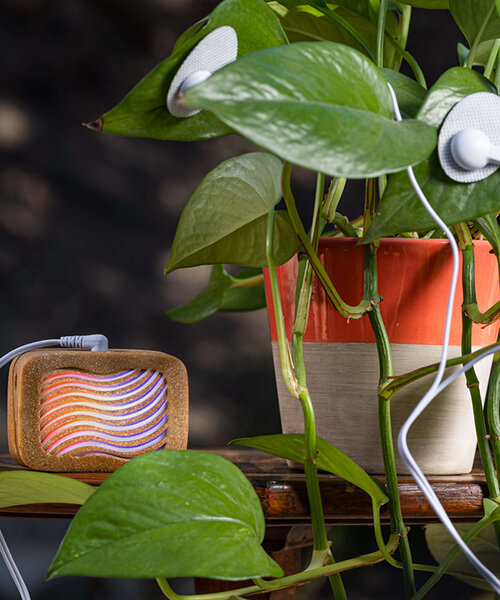 plantwave converts biorhythms into real time music for indoor environments