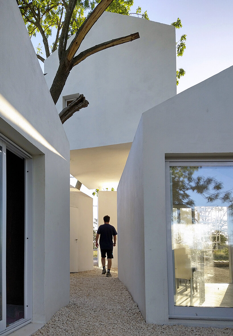 Ensambladas como cajas, 'Casa SF-FR' emerge como un hogar dinámico en Argentina