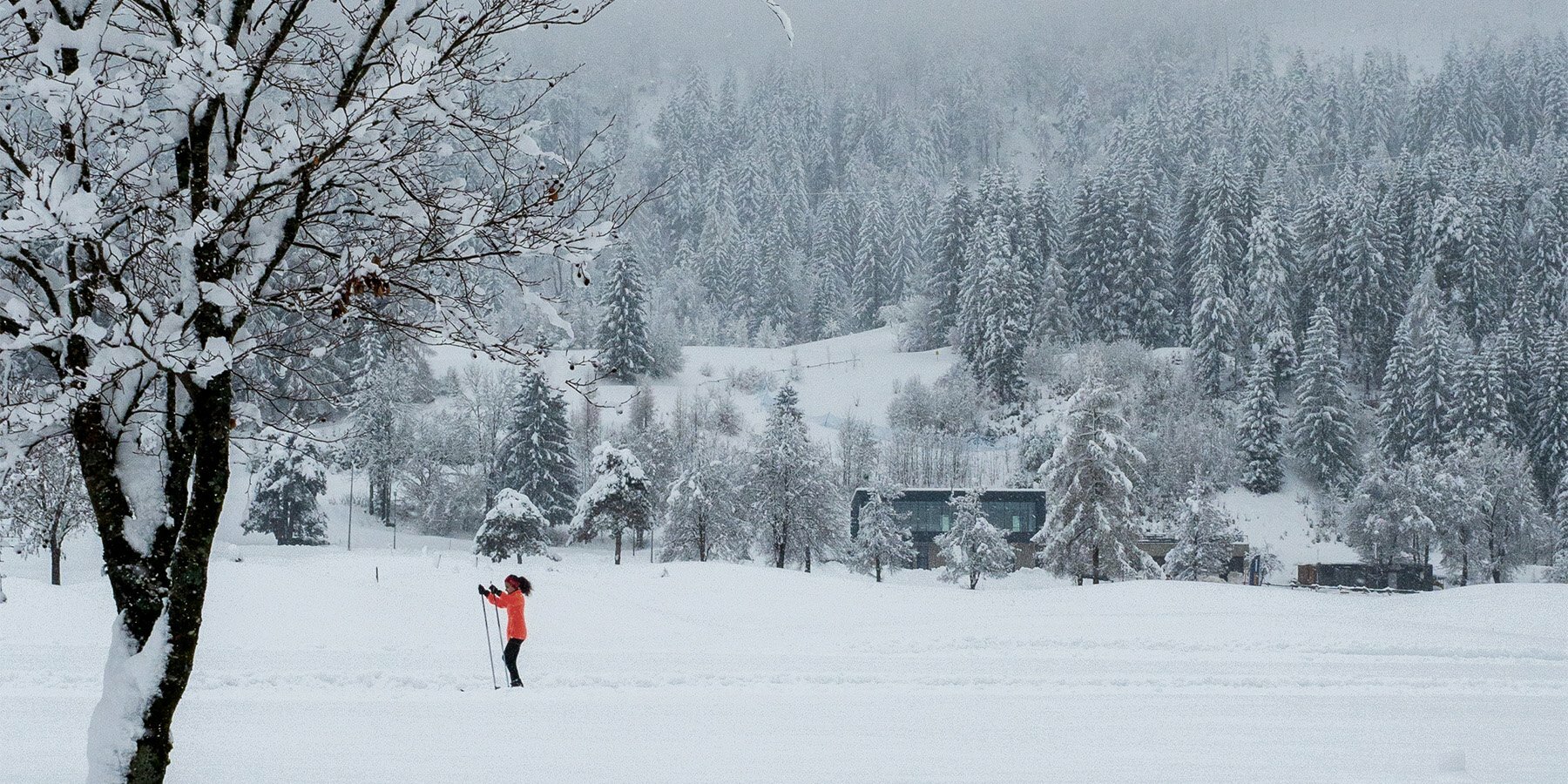 cross-country-skiing-centre-studio-beltrame-designboom-1800-3