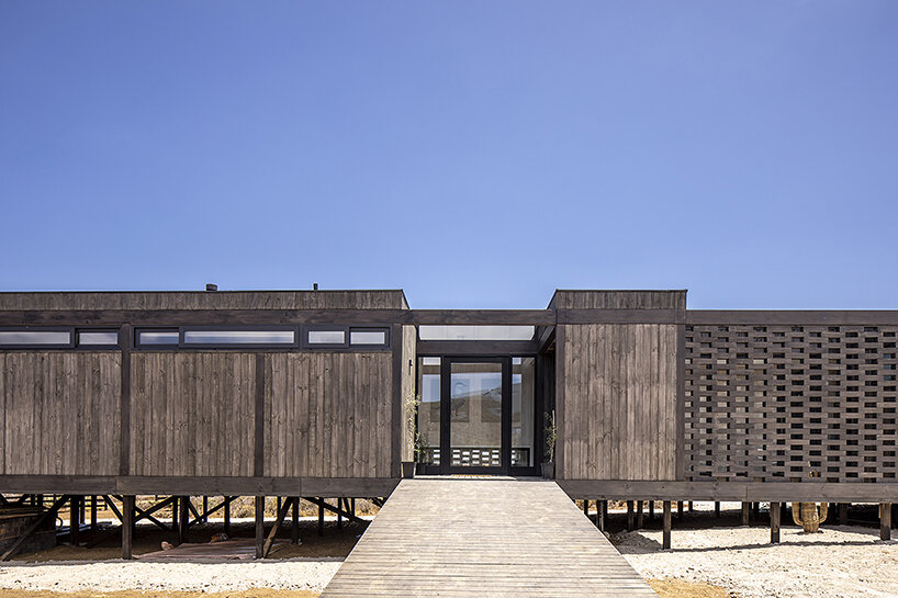 G+D house designboom